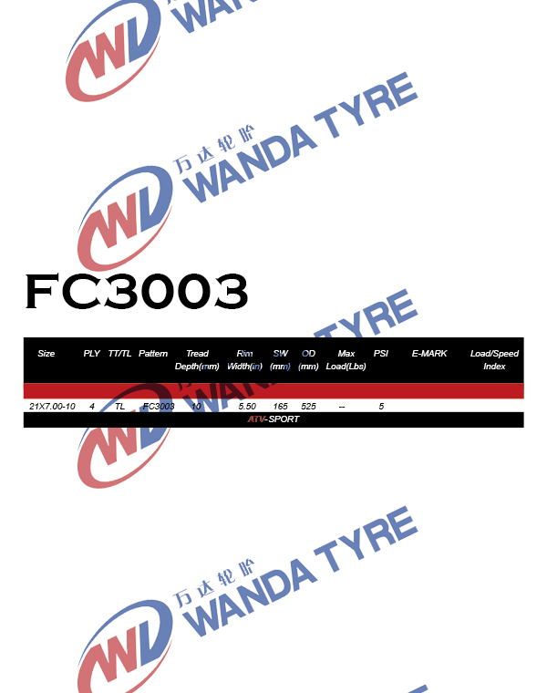 FC3003 3
